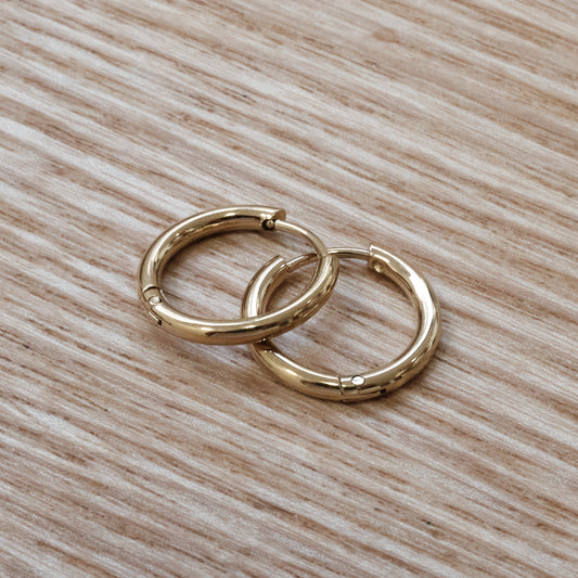 Gold-Tone Stainless Steel Classic Hoop Earrings – 1.8 cm (SKU: 136)